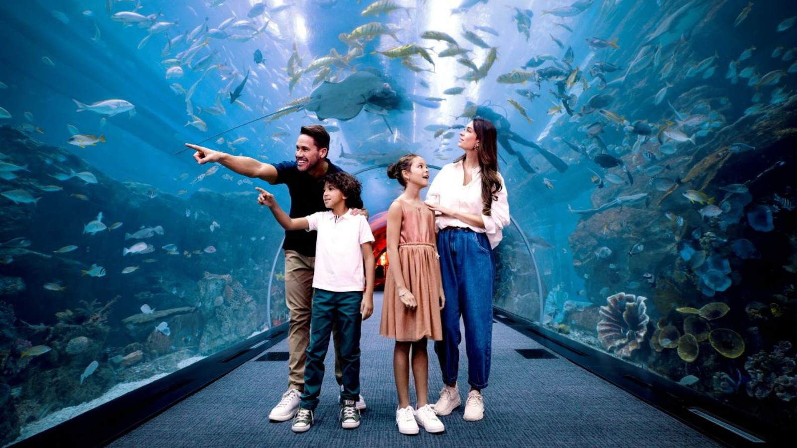 Dubai Aquarium & Underwater Zoo